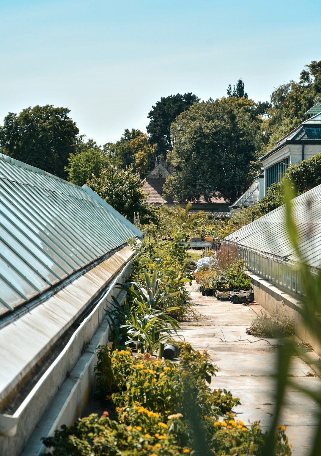 Urban Rooftop Garden