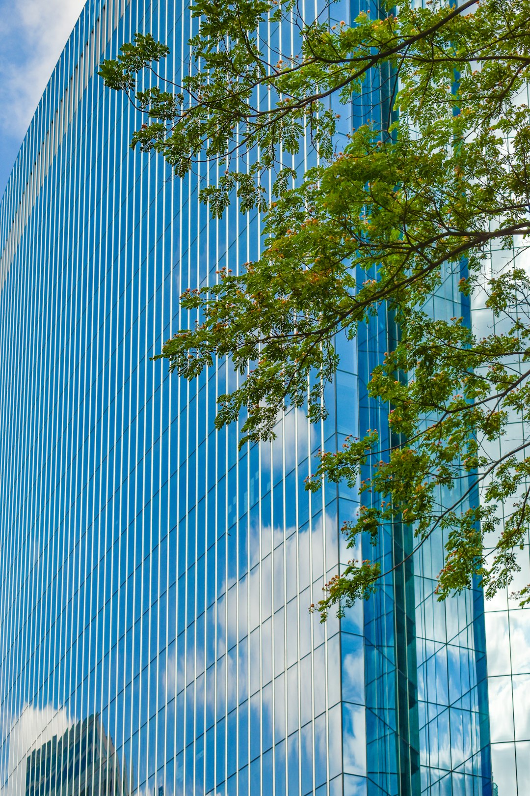 Green Office Complex